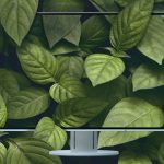 Il ruolo della tecnologia nell’home working
