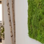 I nuovi uffici sostenibili a Palazzo Bauli