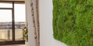 I nuovi uffici sostenibili a Palazzo Bauli